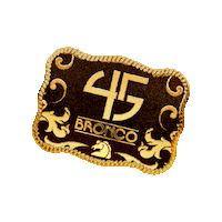 Sticker by Grupo Bronco