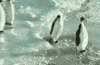 cracking up lol GIF