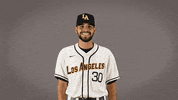 Cal State La Baseball GIF by Cal State LA Golden Eagles