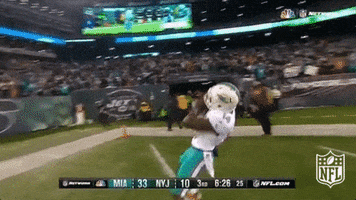 Miami Dolphins Football GIF by NFL