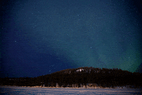 DIE_FOTOFUECHSE fotografieren fotokurs fotoreise fotografierenlernen GIF