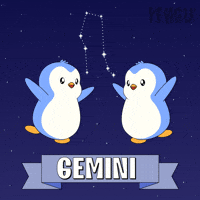 Penguin Twins GIF by Pudgy Penguins
