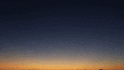 Social Media Animation GIF by Curious Pavel