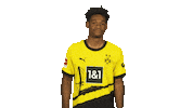 Come On Hello Sticker by Bundesliga