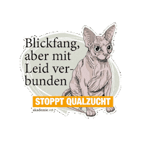 Sticker by akademievet