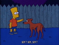 Season 2 GIF by The Simpsons