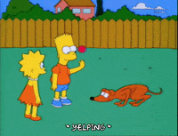 season 6 episode 20 GIF