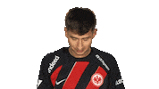 Look Up Eintracht Frankfurt Sticker by Bundesliga
