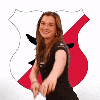 Rocmondriaan craeyenhoutma1 GIF