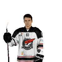 Hokej Sticker by Piráti Chomutov