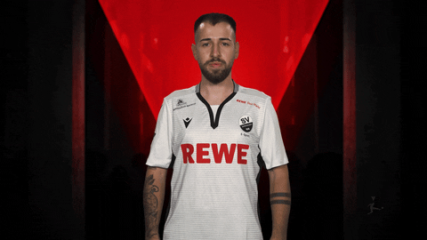 Sv Sandhausen Celebration GIF by Bundesliga