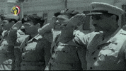 مصر GIF