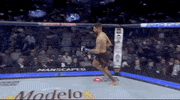 Sport Mma GIF by UFC
