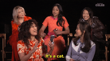 It's A Cat