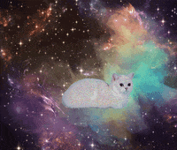GIF by Canek