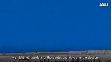 Voting Election 2020 GIF by ACLU