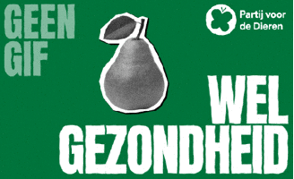 Peer Pvdd GIF by Partij voor de Dieren