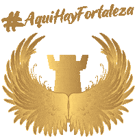 fortalezaguitars mexico usa handmade quality Sticker