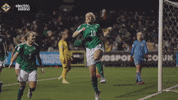 Irish Football Yes GIF by Northern Ireland