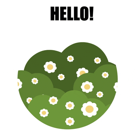 Hide And Seek Hello GIF