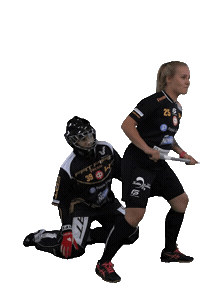 Floorball Salibandy Sticker by F-liiga