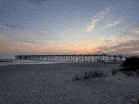 Oak Island Oki GIF