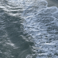 Oak Island Wave GIF