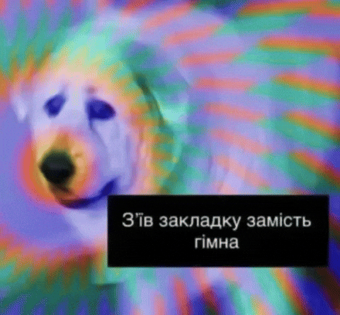 Ukrainian Dog GIF