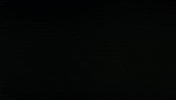 apocalypse now beauty GIF by Maudit