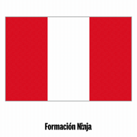 Peru Flag GIF by Formación Ninja