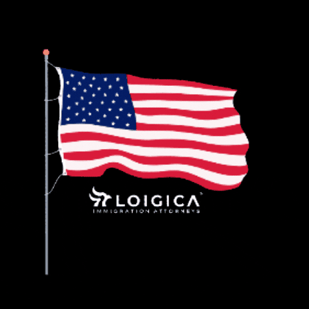 LOIGICA giphygifmaker usa flag loigica GIF