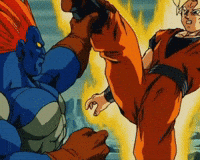Dragon Ball Z Punch GIF