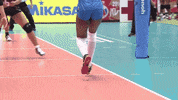 Celebrate Go For It GIF by Volleyball World
