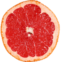 Hands Stay Home Sticker by Apivita