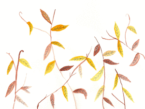 autumn GIF by Katie Drew