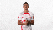 Oh Yeah Yes GIF by RB Leipzig
