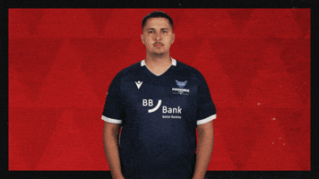 Karlsruher Sc Football GIF by Bundesliga