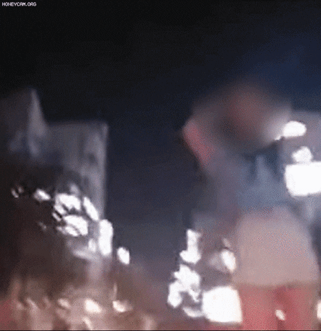 qwerpoiu22ppop giphyupload GIF