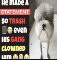 Wrap It Up Clown GIF