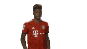 happy france Sticker by Bundesliga