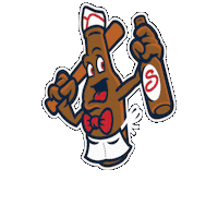 salemredsox baseball redsox salemredsox salemva Sticker