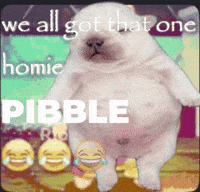 Pibble GIF