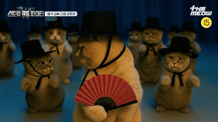 틴더스 GIF