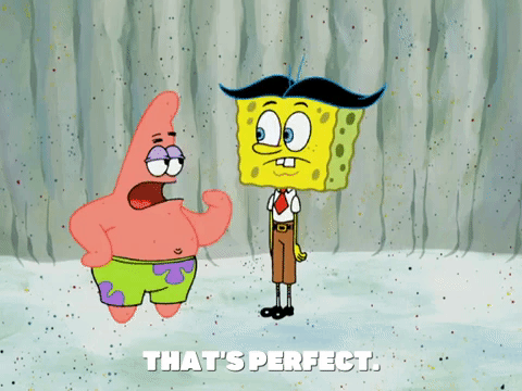 season 5 episode 20 GIF by SpongeBob SquarePants