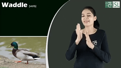 Sign Language Waddle GIF by ISL Connect