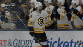 Happy National Hockey League GIF by NHL