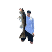 Summer Fall Sticker by WindriderGear