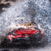Safari Rally Photos GIF by FIA World Rally Championship