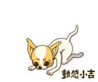 Animation Dog GIF