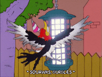 Episode 2 Bird GIF by The Simpsons